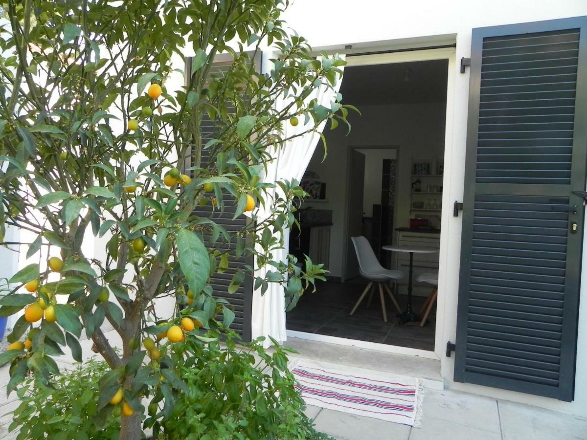 Au Pied Du Baou Avec Jardin Prive Apartment Toulon Ngoại thất bức ảnh